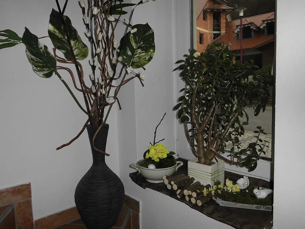 Ferienhaus Kiesel Bad Bocklet Apartment